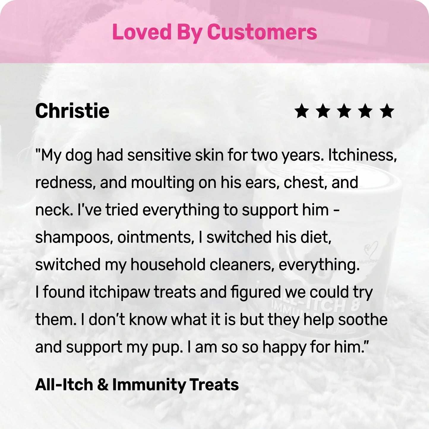 All-Itch & Immunity Treats - 120 Chews for Dogs with Itchy, Sensitive Skin