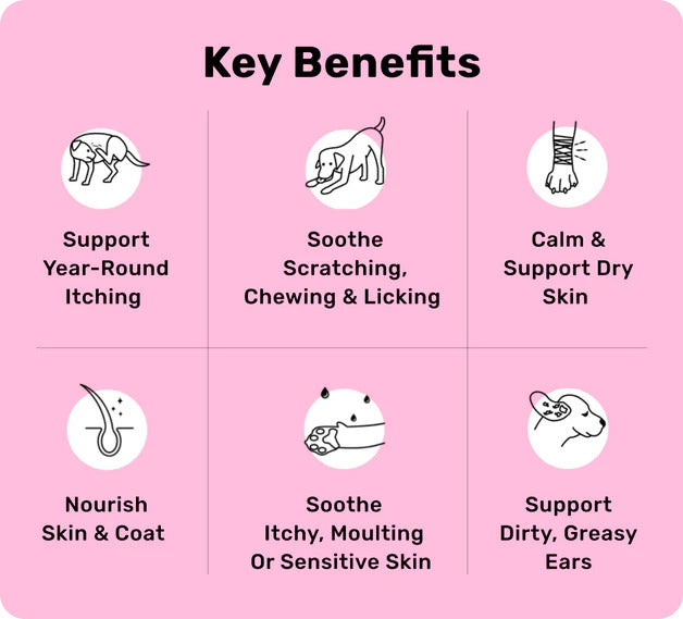 All-Itch & Immunity Treats - 120 Chews for Dogs with Itchy, Sensitive Skin