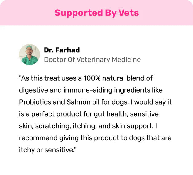 All-Itch & Immunity Treats - 120 Chews for Dogs with Itchy, Sensitive Skin